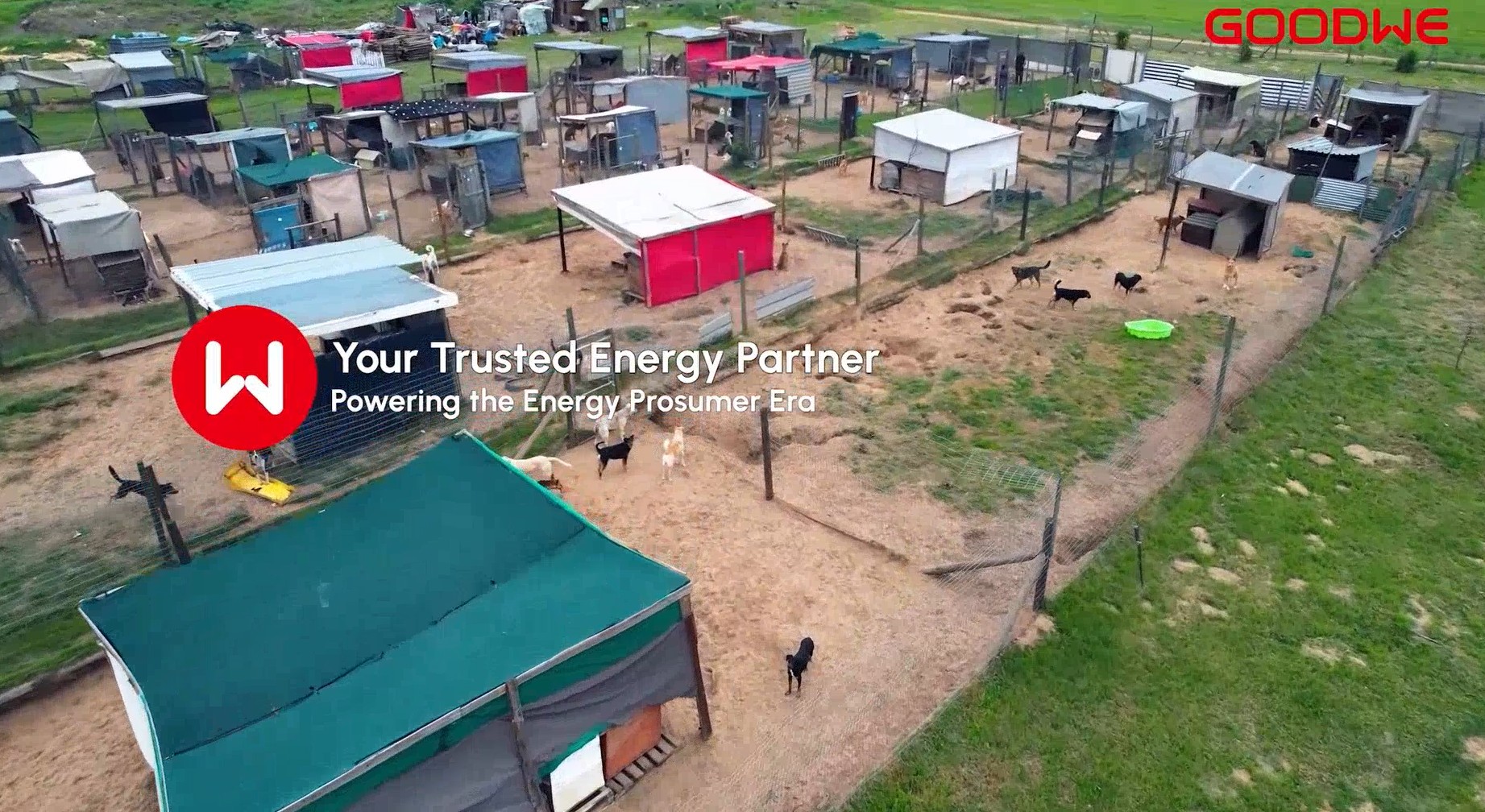 ReliableEnergyforDailyCareataCapeTownAnimalShelter_1.jpg
