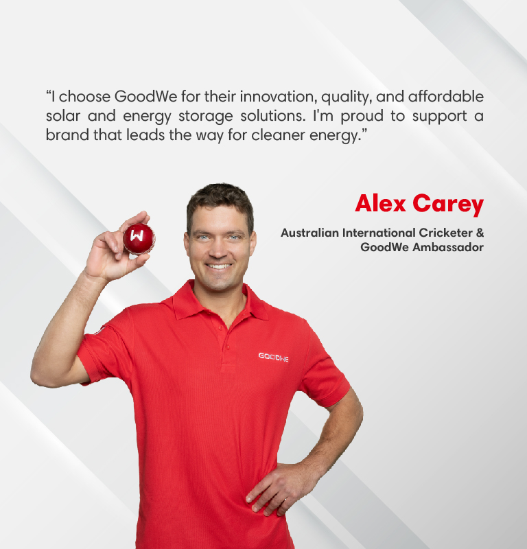 GoodWe AU: Solar Solution Expert